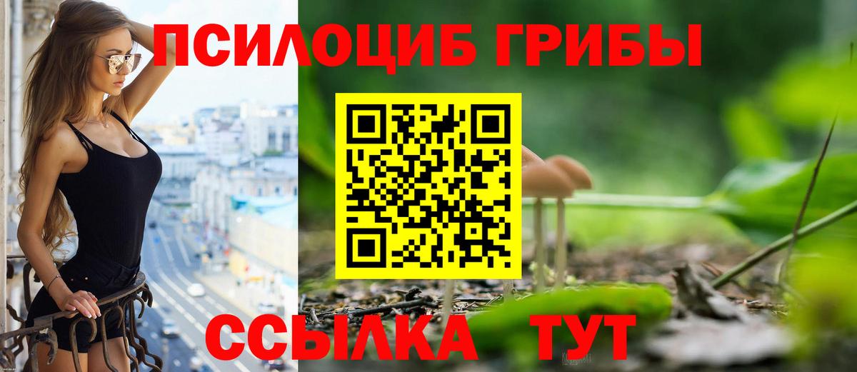 Псилоцибиновые грибы прущие грибы  Вход с VPN  Котовск  Псилоцибиновые грибы Magic Shrooms 